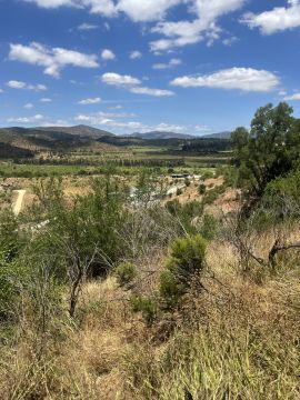 Limpeza de Terrenos