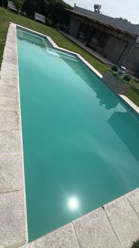 Swimming Pool Cleaning or Maintenance