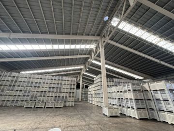 Roofer Repair Specialist
