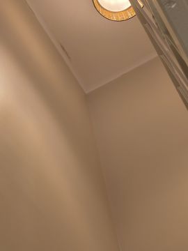 Experto en eliminación de moho - Servicios Domésticos