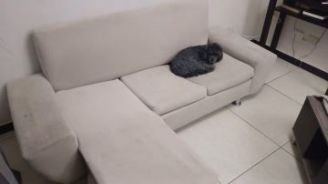 Upholstery Specialist