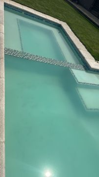 Pool Cleaner