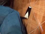 Furniture Repair Professional