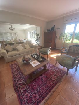 Limpieza de tapicerias y muebles