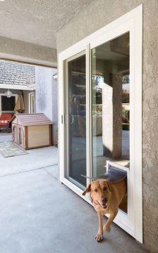 Pet Door Installer
