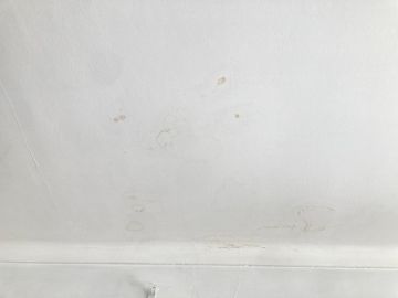 Mold Inspection and Removal