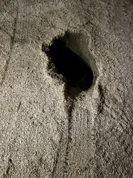 Septic System Specialist