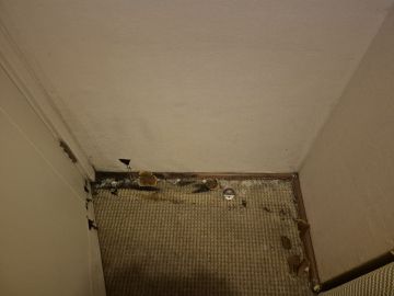 Inspección y eliminación de moho