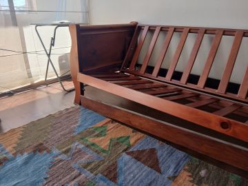 Furniture Repair Professional