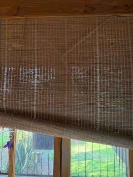 Window Blinds