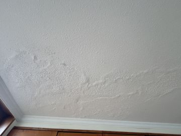 Inspeção e Remoção de Bolor