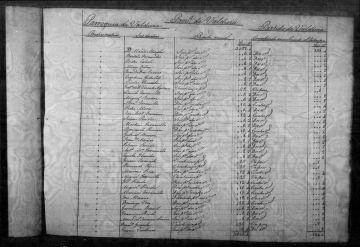 Genealogista - Servicios Variados