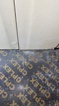 Inspección y eliminación de moho