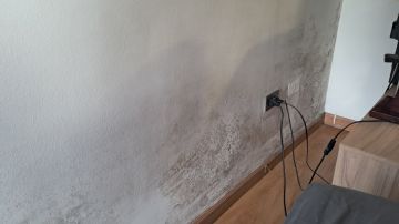 Inspeção e Remoção de Bolor