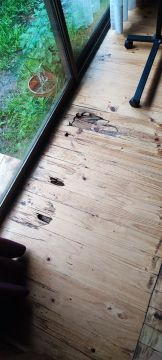 Restauración de suelos de madera