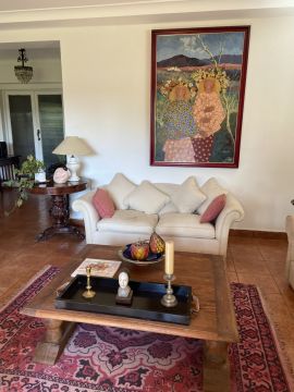 Limpiador de tapicerias y muebles - Servicios Domésticos
