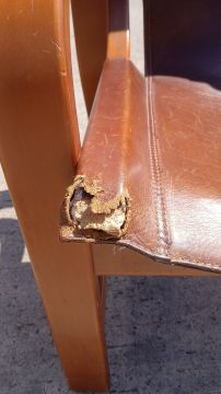 Reparador de tapicería - Hogar
