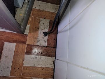 Limpieza - Servicios Domésticos