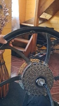 Especialista en Bicicletas Eléctricas
