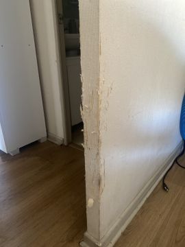 Wallpaper Repair Professional