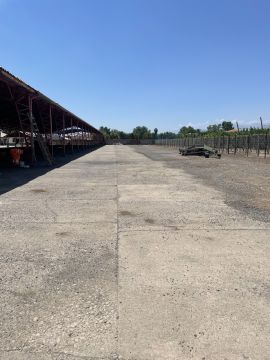 Asphalt Professional