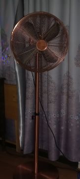 Fan Repairman