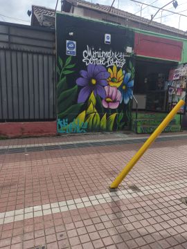 Pintor de murales