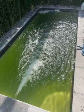 Pool Cleaner