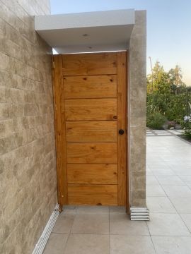 Door Painter