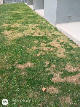 Aeration Professional