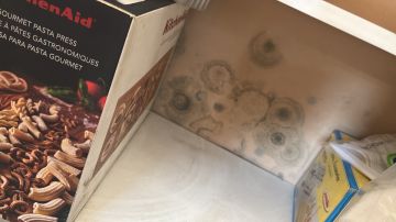 Inspección y eliminación de moho
