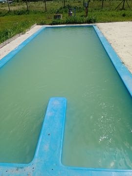 Limpiador de piscinas
