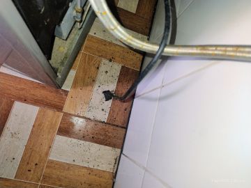 Inspección y eliminación de moho - Limpieza