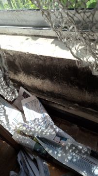 Mold Removal Expert
