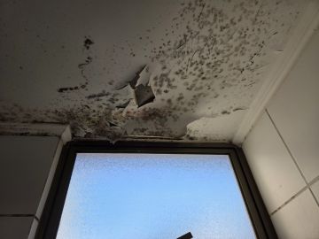 Cleaning - Domestic Services