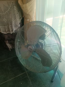 Fan Repairman