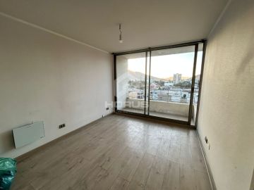 Property Cleanup Specialist