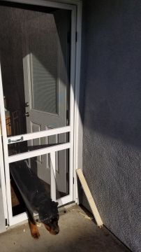 Steel Materials and Gates