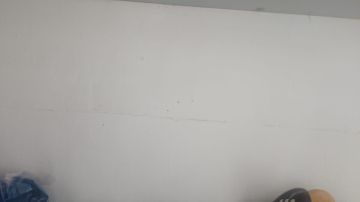 Experto en eliminación de moho