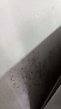 Inspección y eliminación de moho