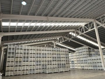 Roof Repair or Maintenance - Roofing