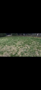 Aeration Professional