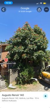 Tree Trimmer