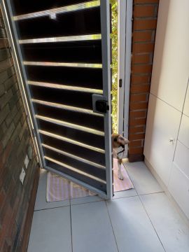 Instalação de Porta para Animais de Estimação