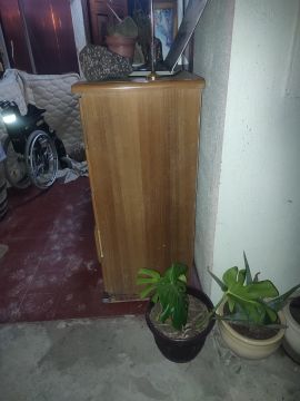 Furniture Repair Professional