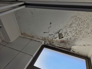 Mold Inspection and Removal - Cleaning