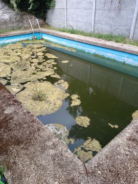 Especialista de Limpeza de Piscinas