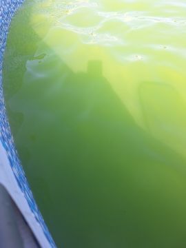 Pool Cleaner
