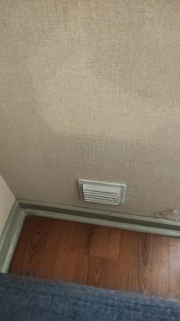 Instalador de puertas para mascotas