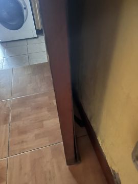 Instalador de puertas para mascotas